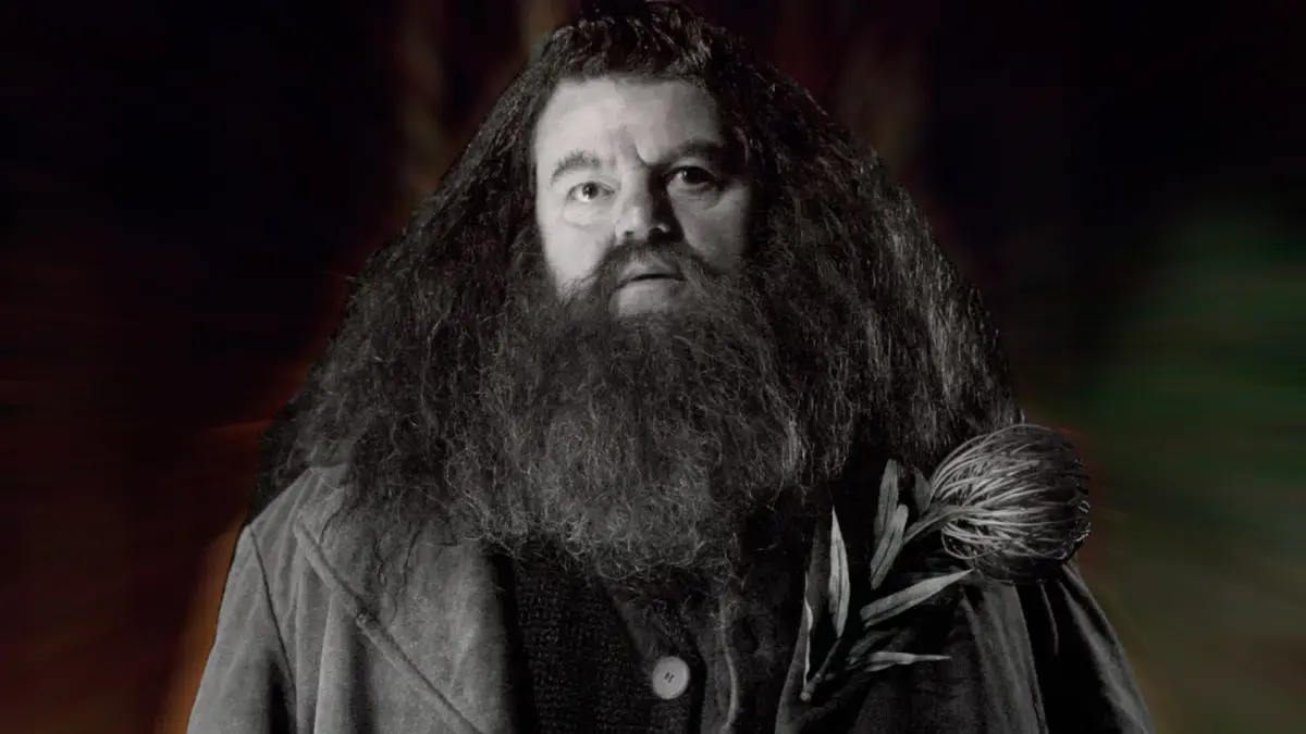 robbie coltrane hagrid