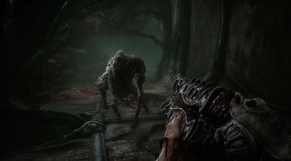 scorn 6
