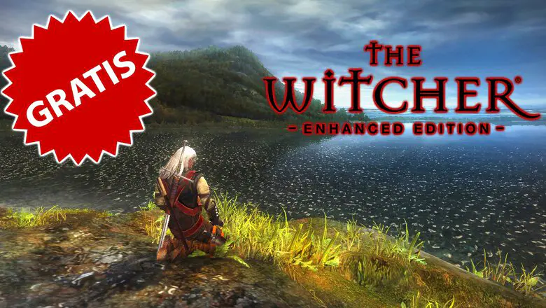 the witcher