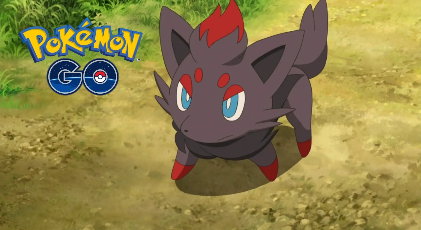 Jogada Excelente on X: Pokémon GO: Zorua e Zorokark estão