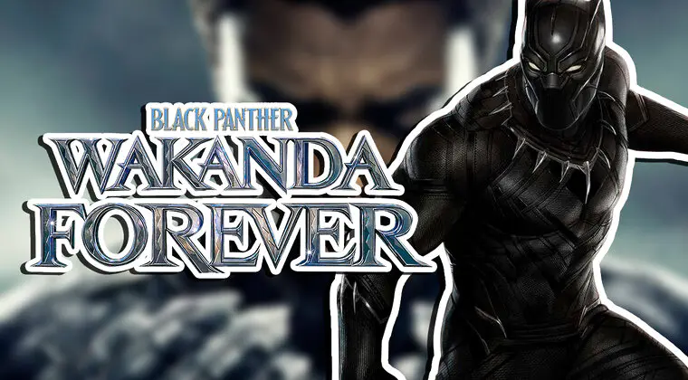Imagen de Black Panther: Wakanda Forever - ¿Quién es el nuevo Black Panther?