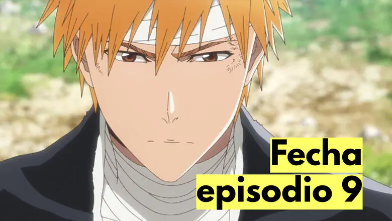Bleach TYBW horario