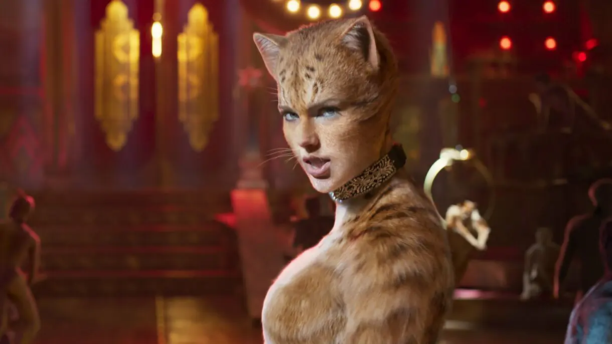 cats fracasos