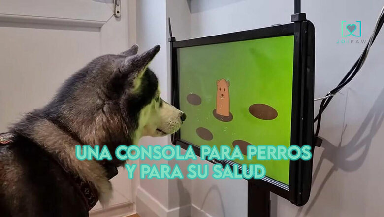 Cabecera juego