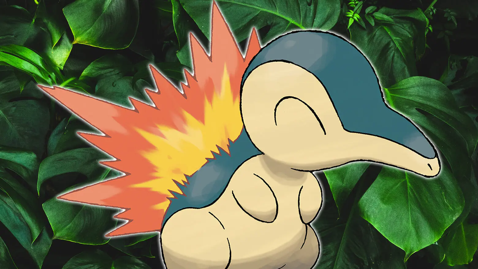 cyndaquil planta pokémon
