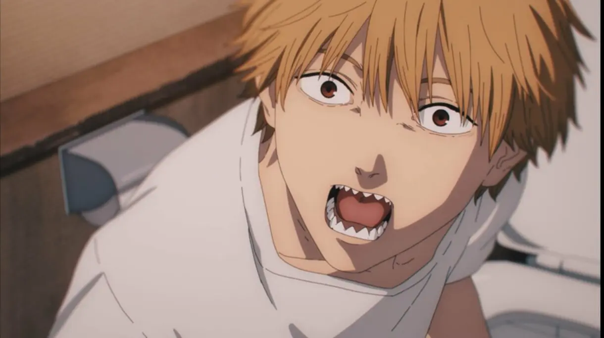 Denji Chainsaw Man
