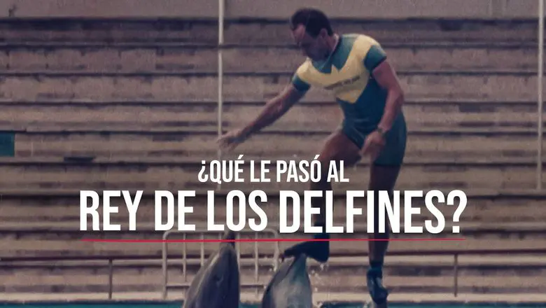 ¿Qué le pasó al rey de los delfines?