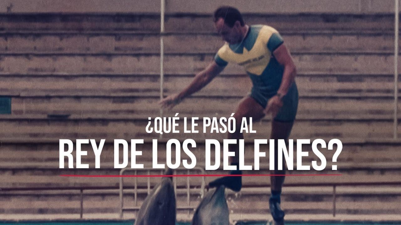 ¿Qué le pasó al rey de los delfines?