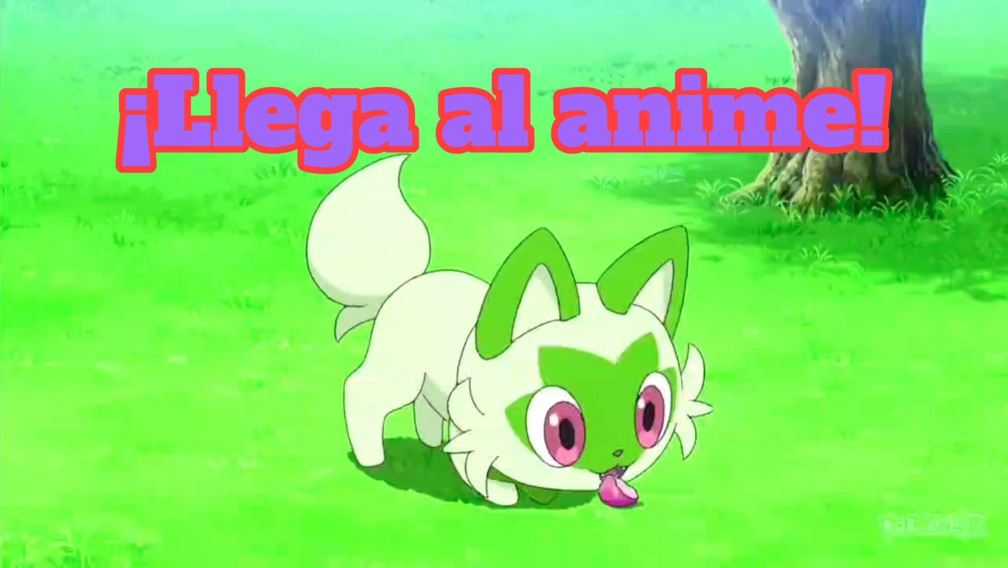 Sprigatito é o primeiro Pokémon da 9ª geração a aparecer no anime