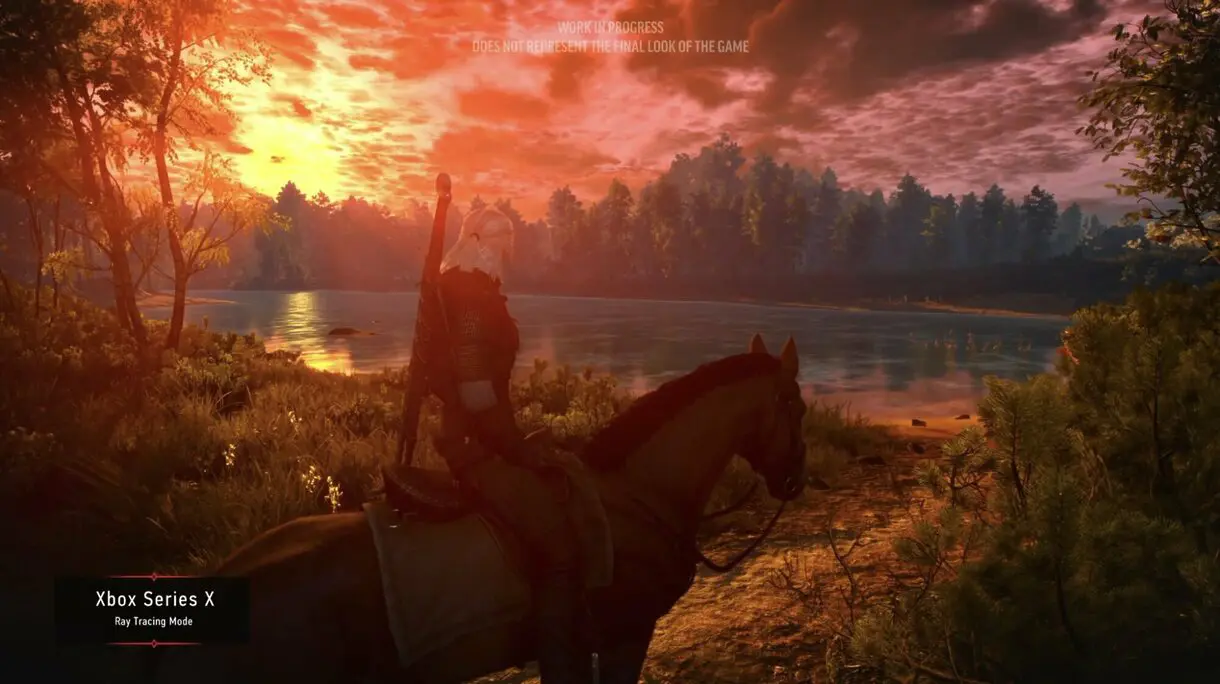 the witcher 3