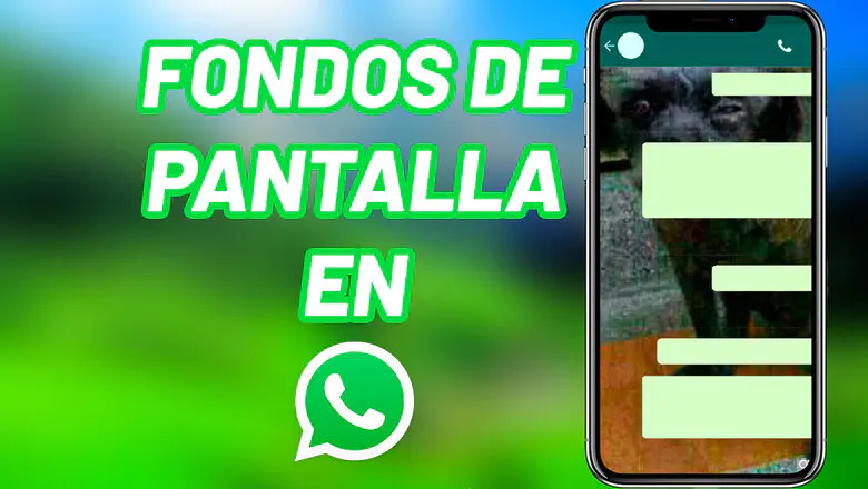 Fondos WhatsApp