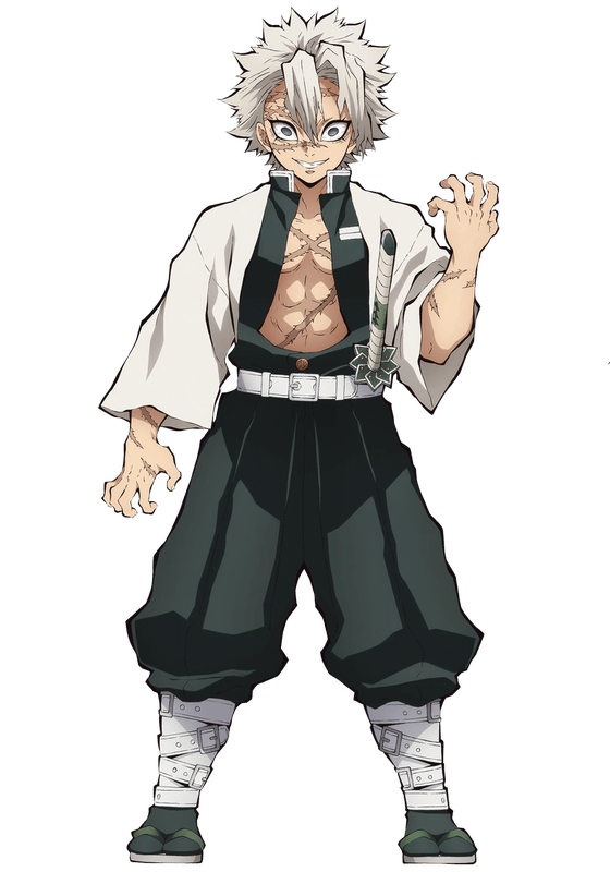 Pilares de Kimetsu no Yaiba