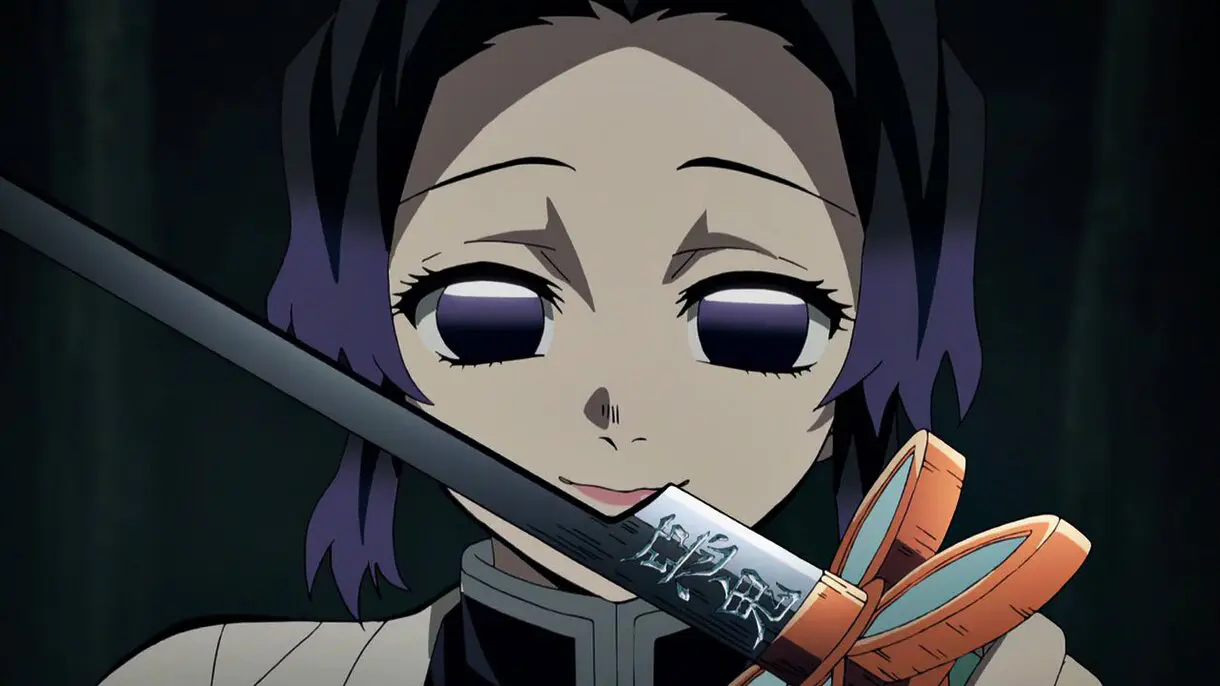 shinobu sword
