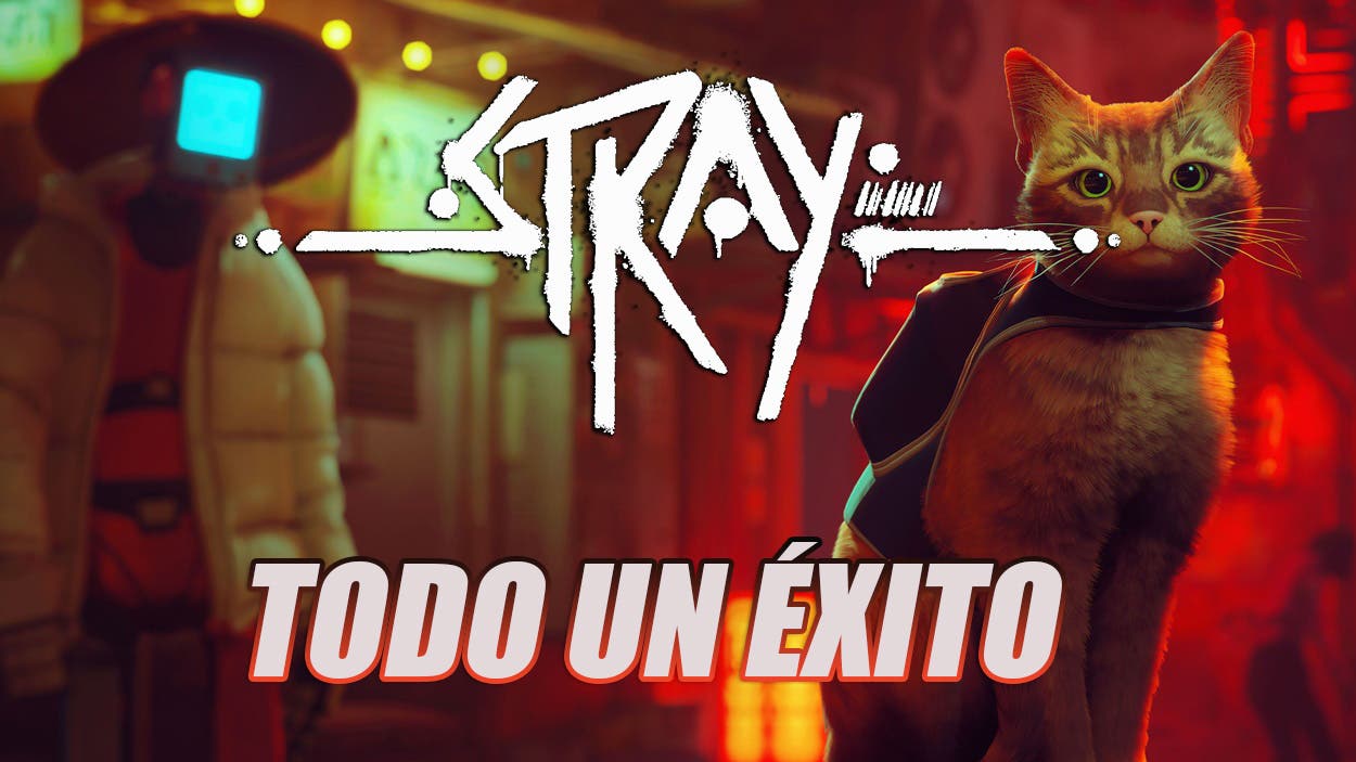  Stray for PlayStation 5 : Videojuegos