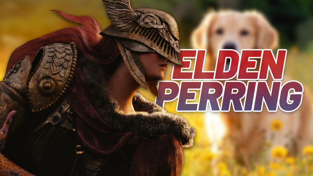elden ring perro