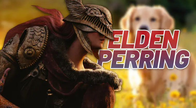 Imagen de Un perro se hace viral en Twitch por jugar a Elden Ring mejor que tú (no, no es una broma)
