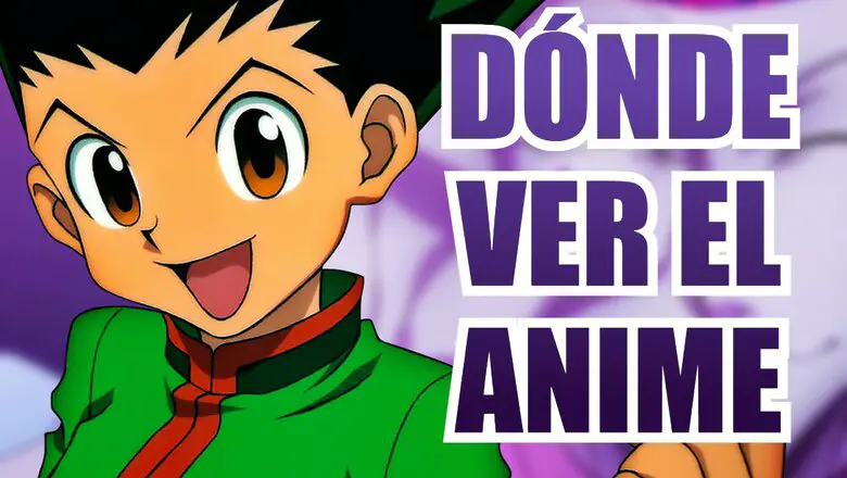 hunter x hunter ver el anime