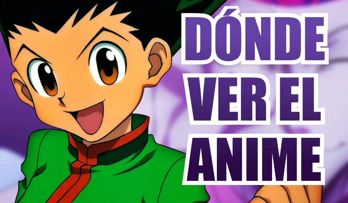 hunter x hunter ver el anime