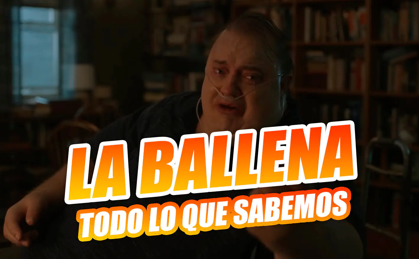 la ballena the whale todo lo que sabemos