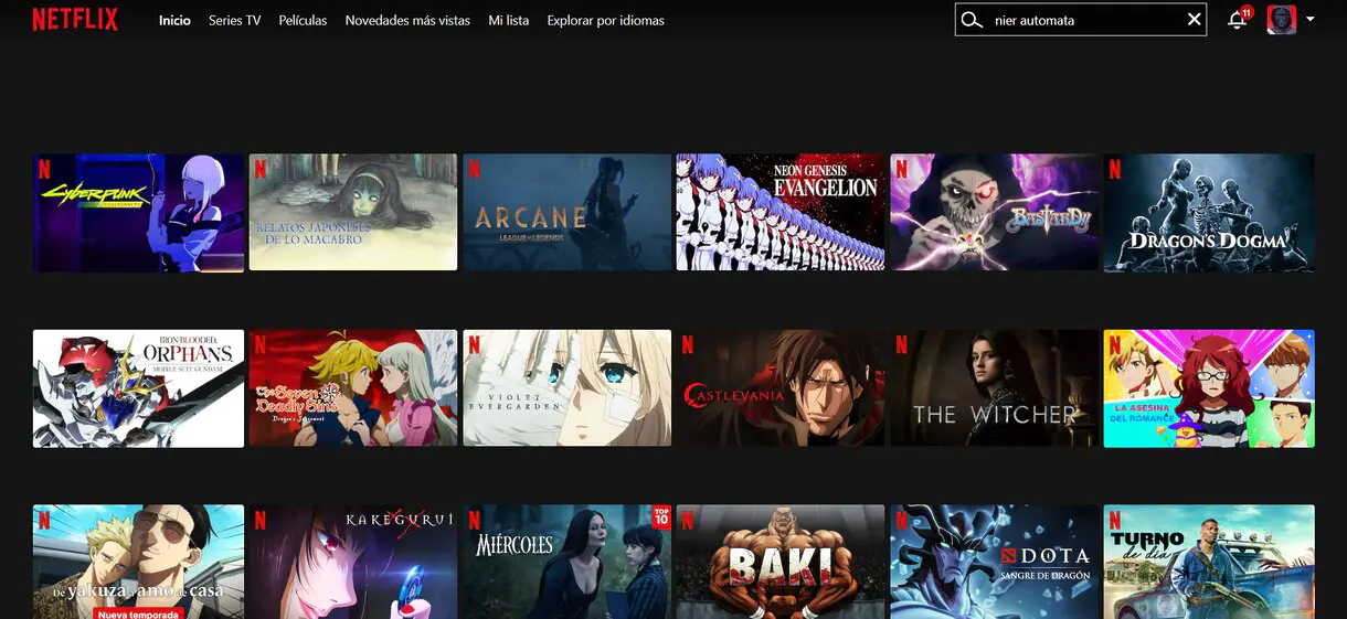 nier netflix