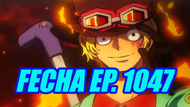 One Piece horario