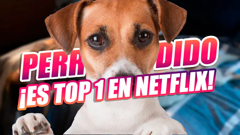 perro perdido netflix