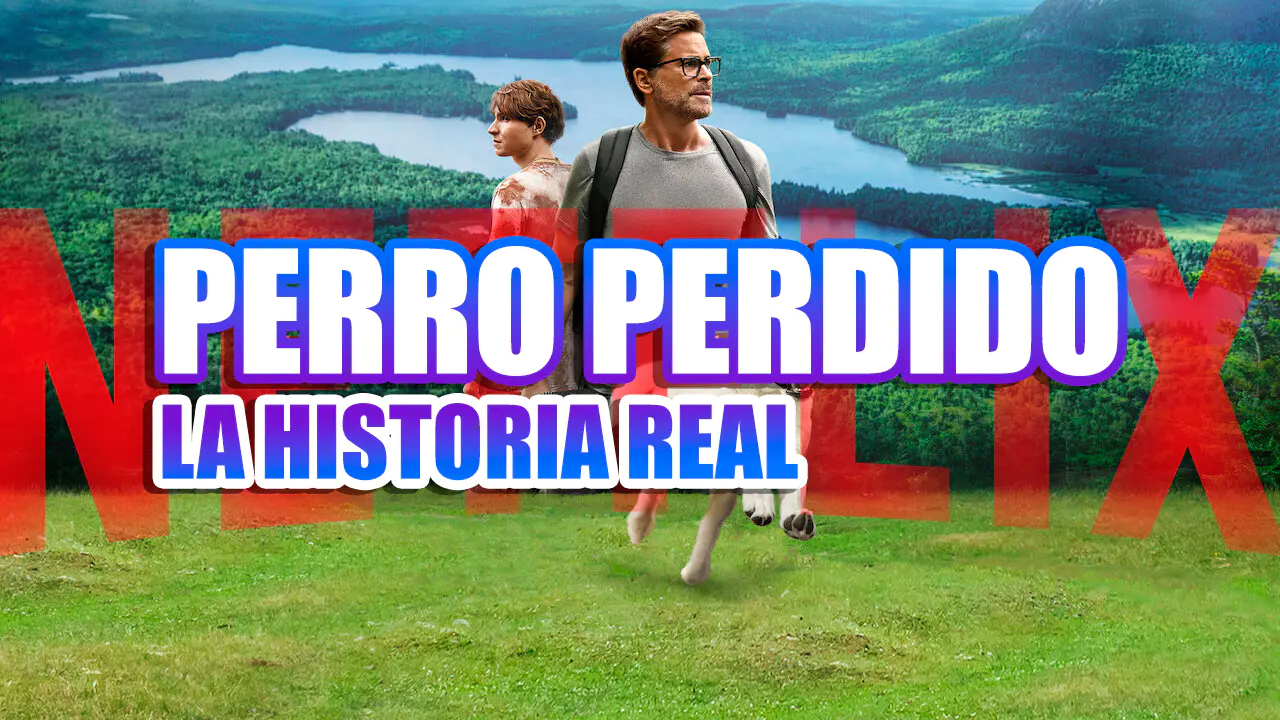 perro perdido