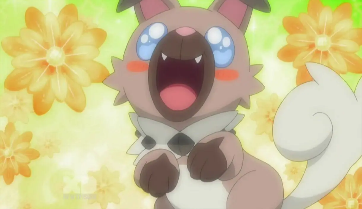 Rockruff Pokemon