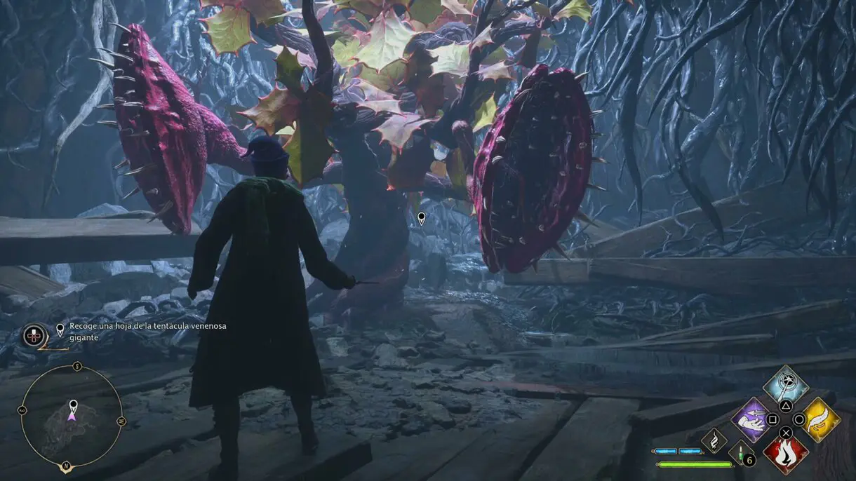 Tentácula venenosa gigante