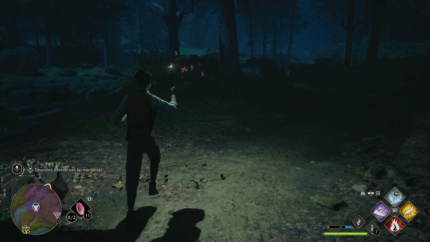 Hogwarts Legacy How To Complete The "Follow The Butterflies" Quest