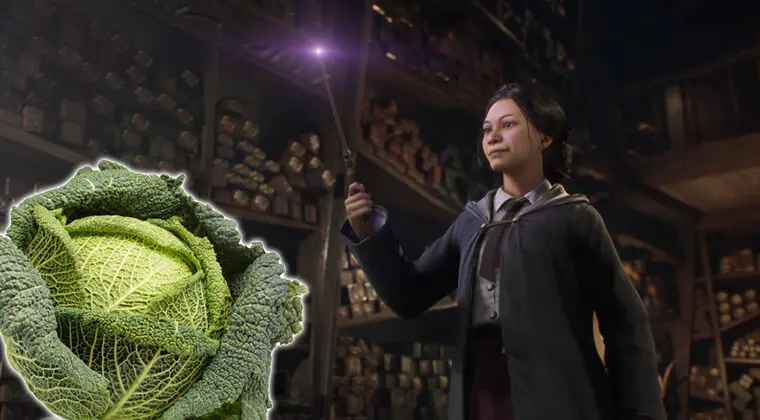 Imagen de El verdadero poder de Hogwarts Legacy no es la magia ni los hechizos, sino la verdura