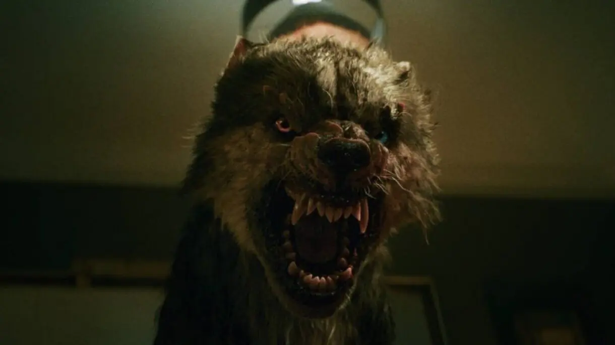 lobo vikingo netflix