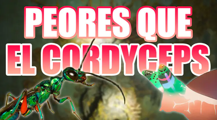 Imagen de 3 parásitos aún más escalofriantes que el Cordyceps de The Last of Us