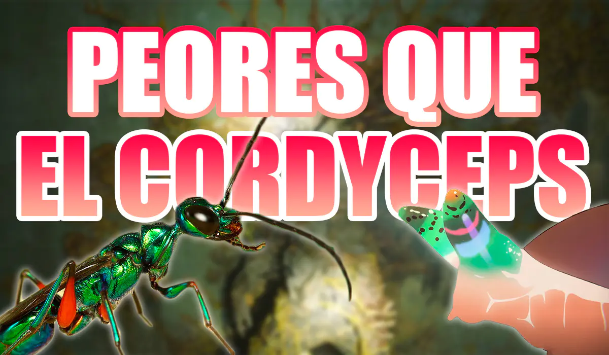 Parásitos Peores que el Cordyceps