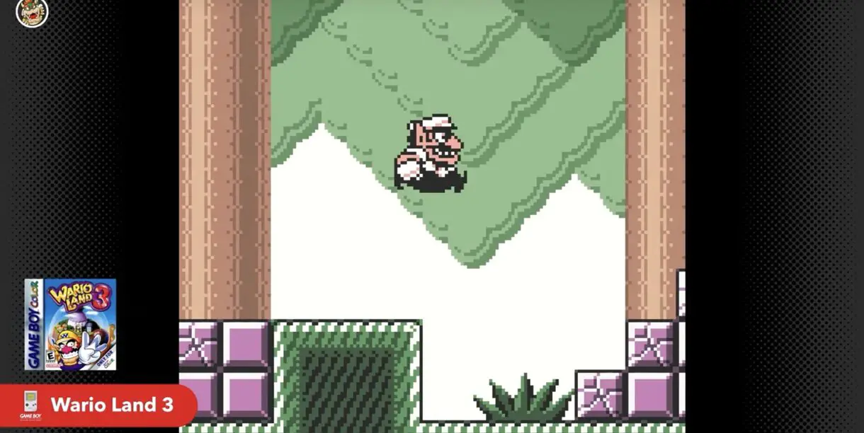 wario land