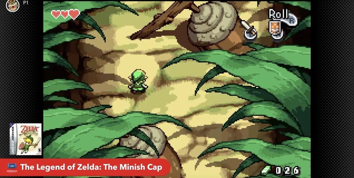 zelda minish cap
