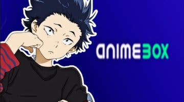 Imagen de ¿Qué es AnimeBox? El posible nuevo servicio de anime para España