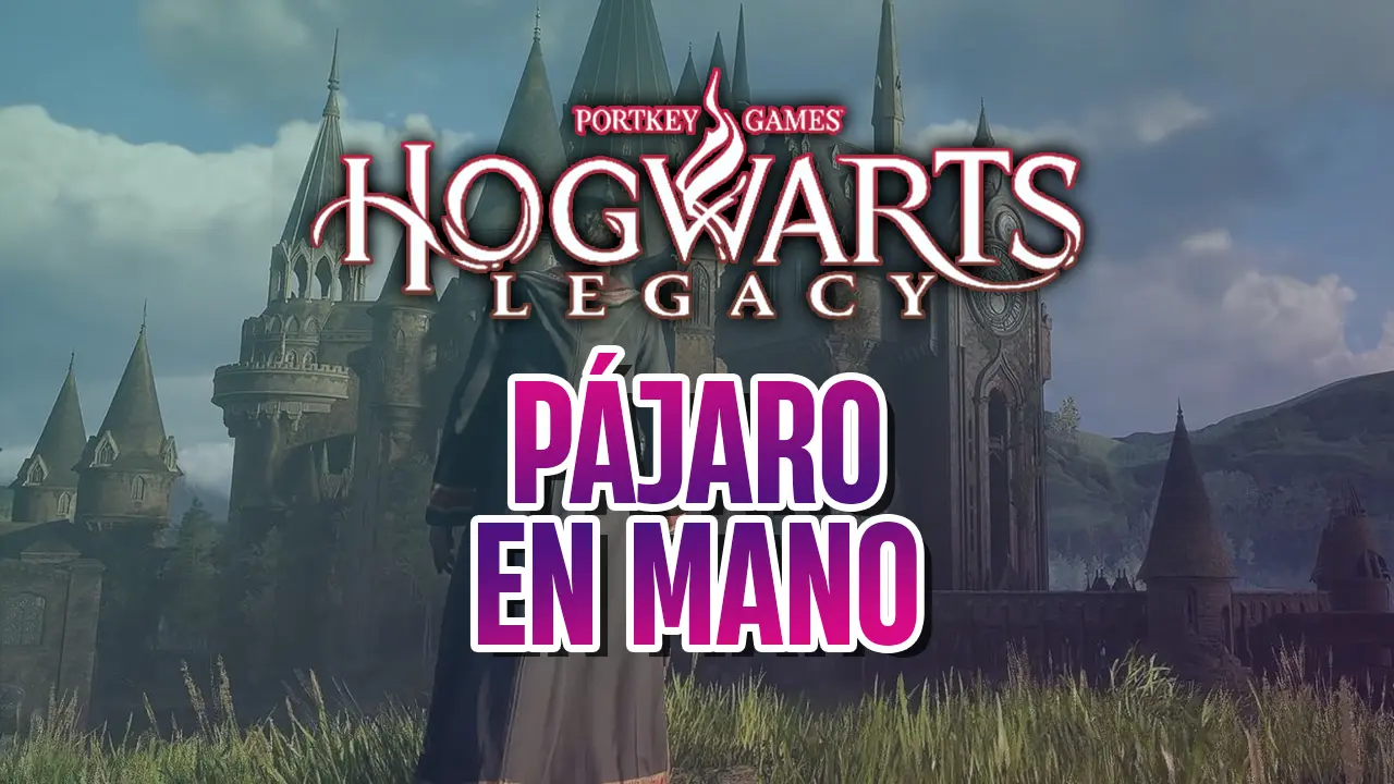 guia hogwarts legacy pajaro en mano