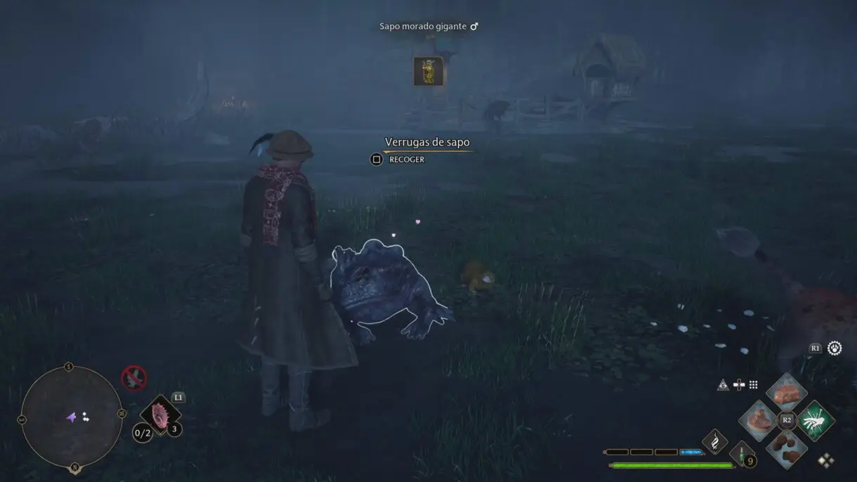 hogwarts animal 3