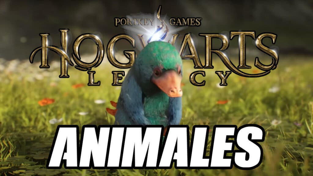 Hogwarts Legacy todos los animales