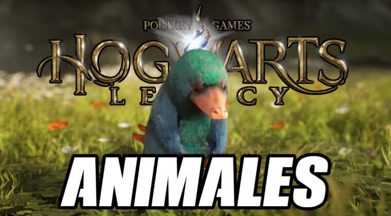 Imagen de Hogwarts Legacy: cómo capturar todos los animales y qué ingredientes dan
