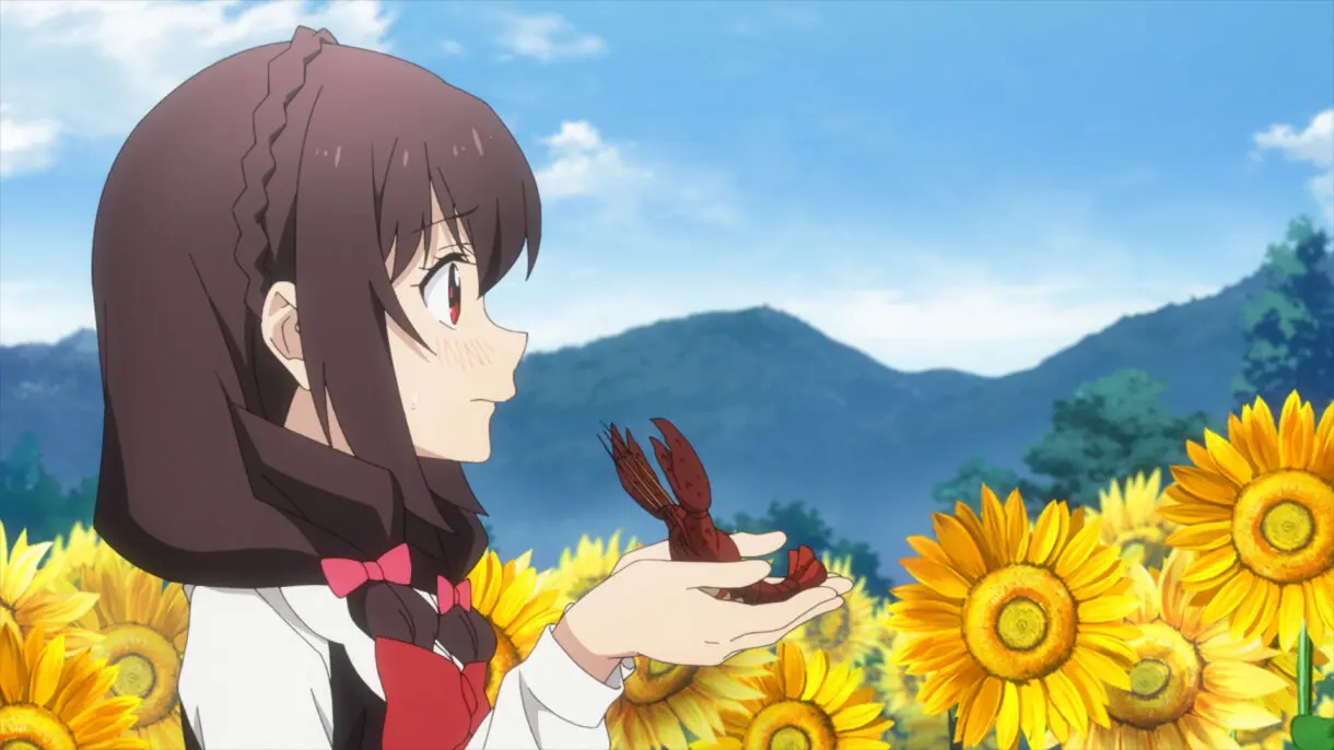 Megumin Explosion Maravillosa
