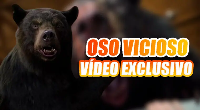 Imagen de Vídeo EXCLUSIVO de Oso Vicioso con su directora, Elizabeth Banks: "Todo está inspirado en hechos reales"