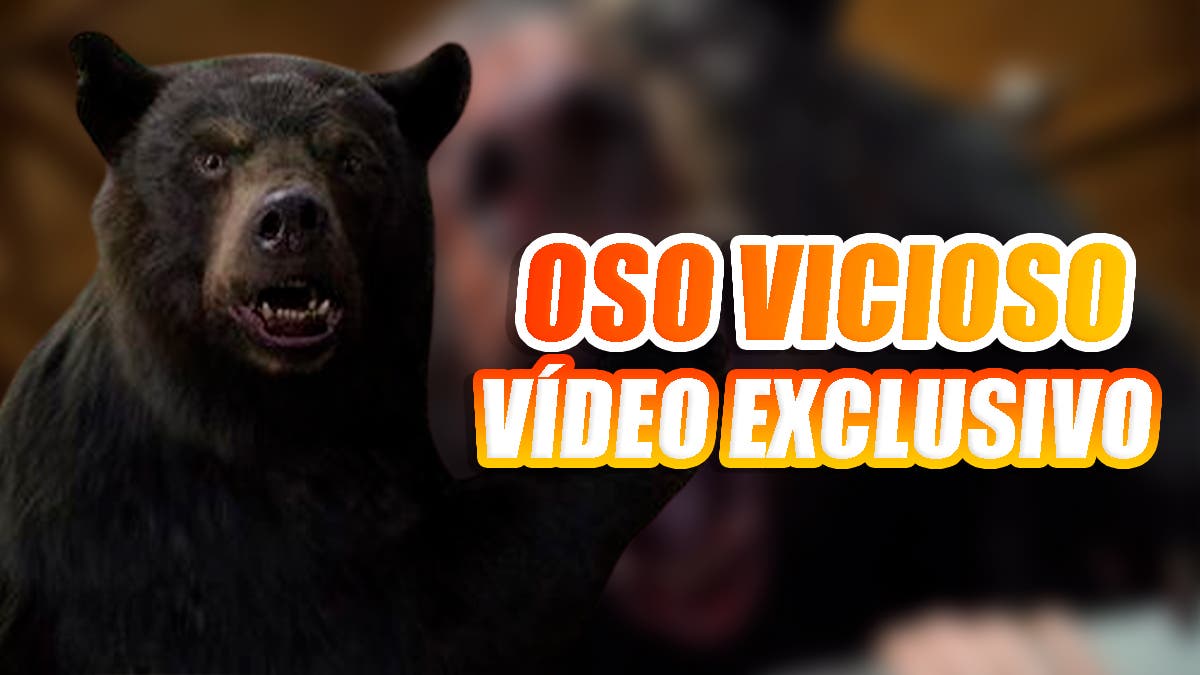 EXCLUSIVE video of Oso Vicioso with his director, Elizabeth Banks: "Everything is inspired by real events"