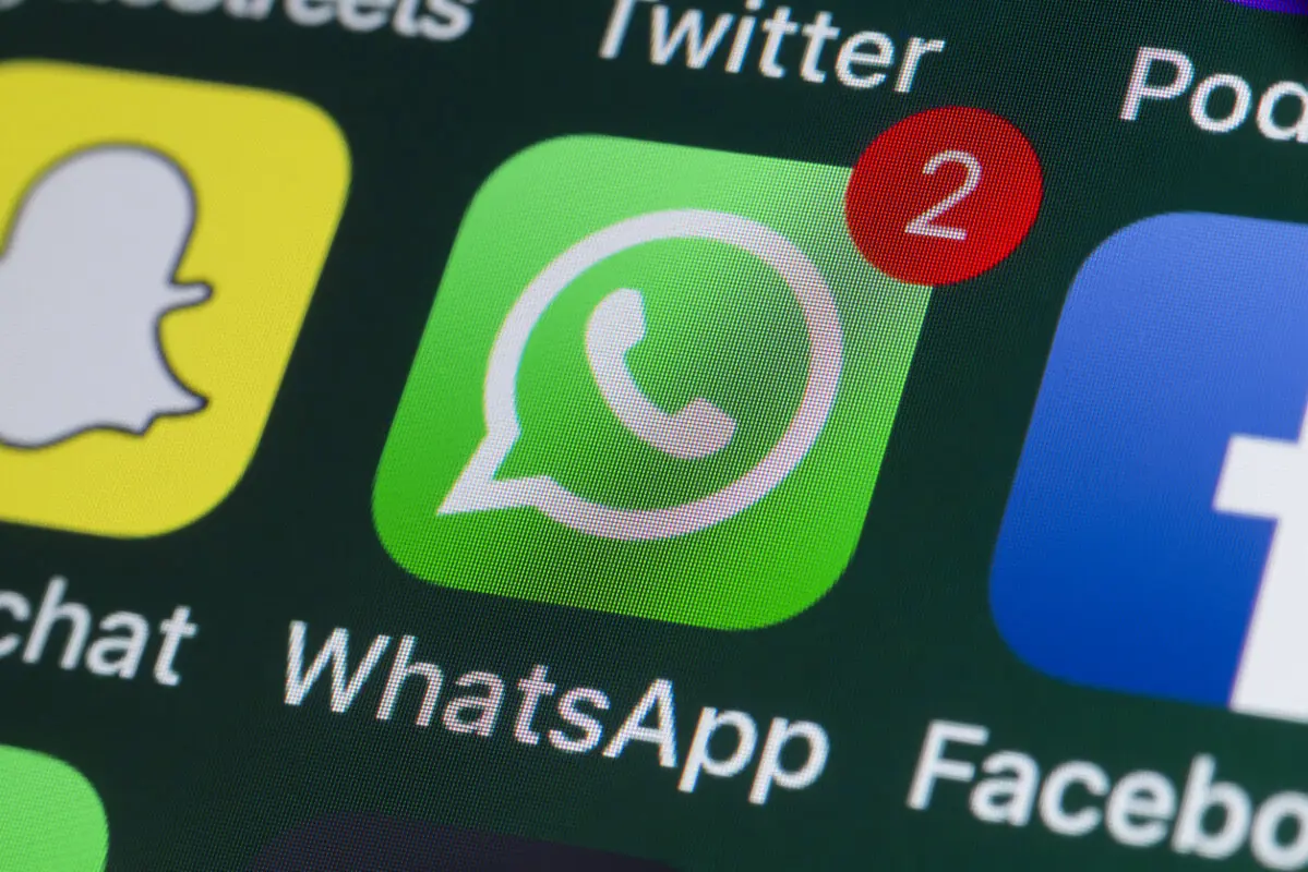 pandasecurity whatsapp