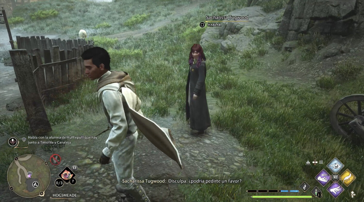 Hogwarts Legacy How To Complete The "Stain Remover" Quest