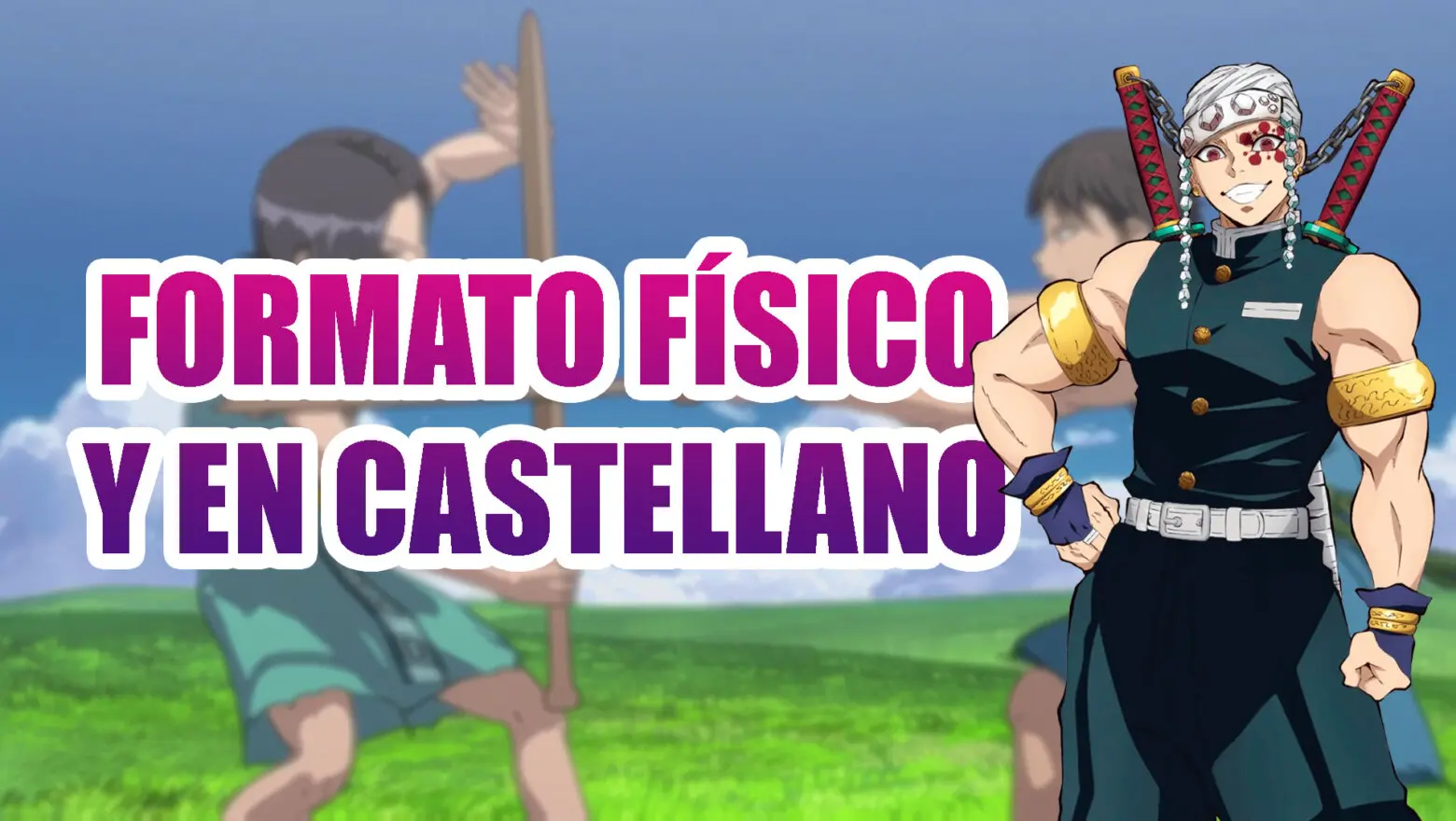 licencias anime Selecta Vision Fullmetal Alchemist Kimetsu no Yaiba