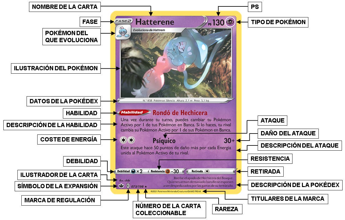 Qué son los tipos de Pokémon? 🎨 Aprende a jugar a JCC Pokémon 