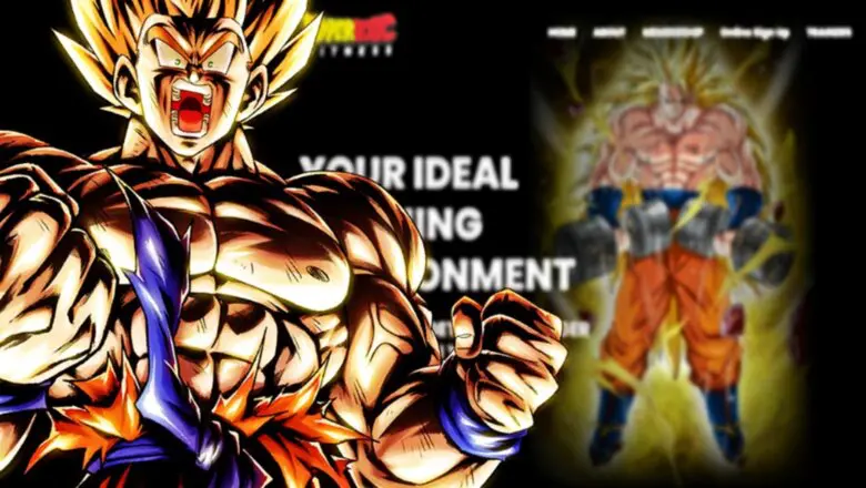 dragon ball gimnasio