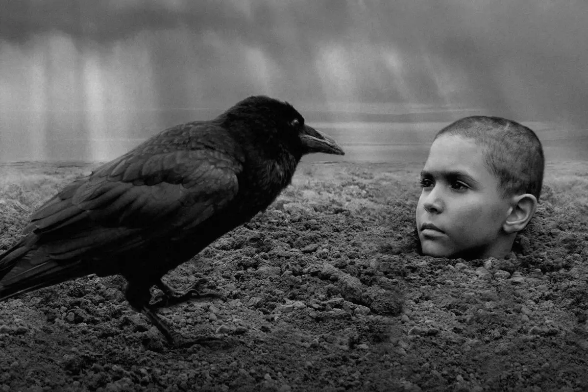 el pájaro pintado filmin